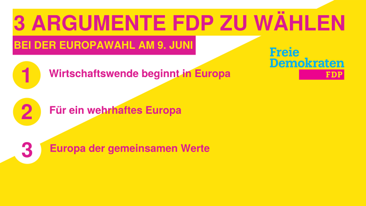 3 ARGUMENTE FDP ZU WÄHLEN – BEI DER EUROPAWAHL AM 9. JUNI